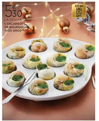 Escargots de bourgogne trĂšs gros