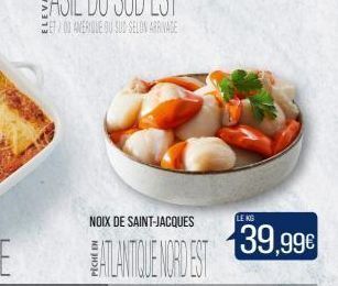 Match Noix de saint-jacques offre