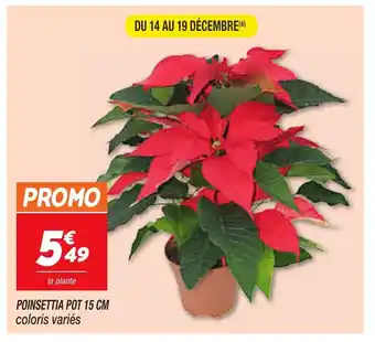 Poinsettia Pot 15 CM