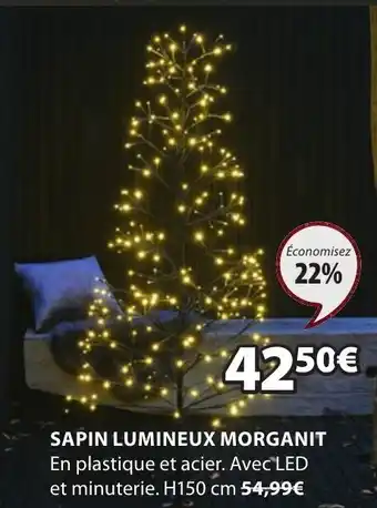 Sapin Lumineux Morganit