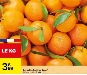 Carrefour Clémentine Feuille de Corse offre
