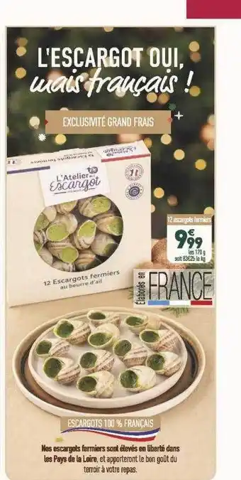 12 escargots fermiers