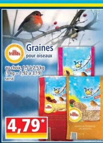 Norma Graines offre