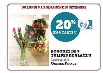 Super U Bouquet de 9 tulipes de glace u offre