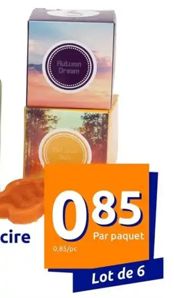 Fondants de cire