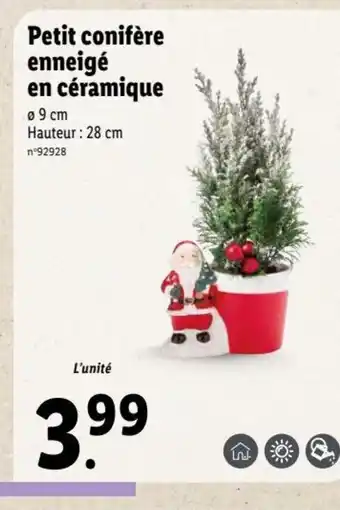 Lidl Petit conifère enneigé en céramique offre