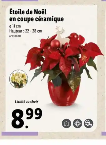 Lidl Etoile de noel En Coupe Ceramique offre