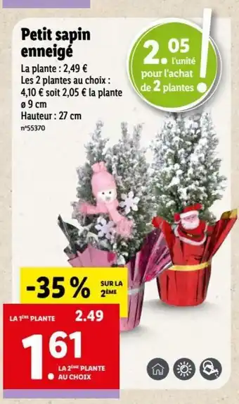 Lidl Petit Sapin Enneige offre