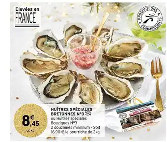 Huîtres spéciales bretonnes n°3