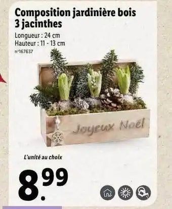 Lidl Composition jardinière bois 3 jacinthes offre