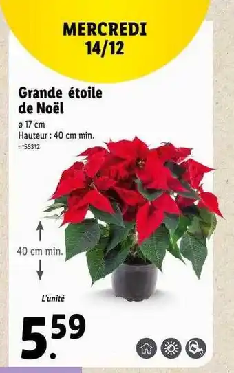 Lidl Grande étoile de noël offre