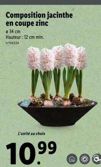 Lidl Composition jacinthe en coupe zinc offre