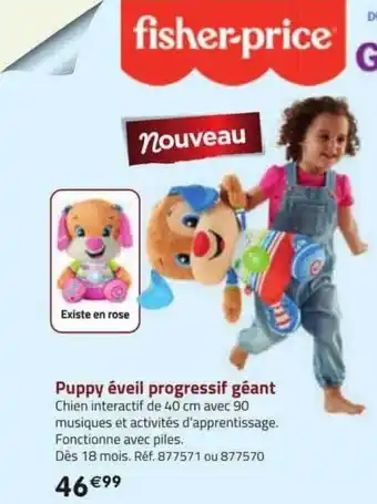 Puppy éveil progressif géant