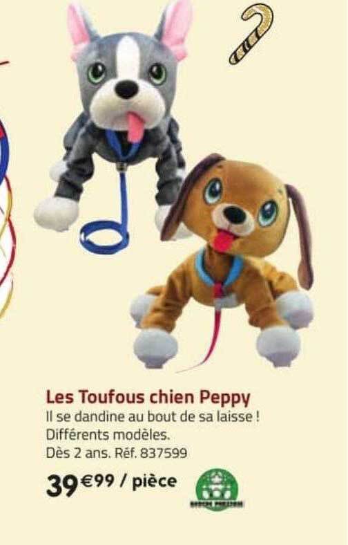 chien les toufous