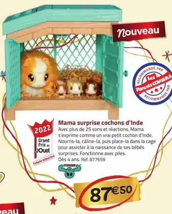 La Grande Récré Mama surprise cochons d'inde offre