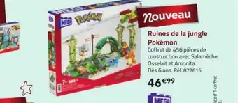 Ruines de la jungle pokémon méga