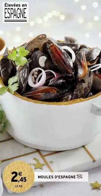 Moules d'espagne