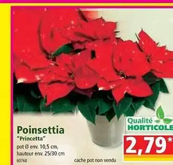 Norma Poinsettia offre