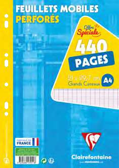 Bureau Vallée 440 PAGES FEUILLES MOBILES OU COPIES DOUBLES PERFORÉES offre