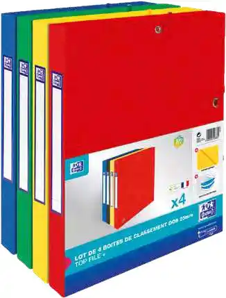 Bureau Vallée LOT DE 4 BOITES DE CLASSEMENT TOP FILE offre