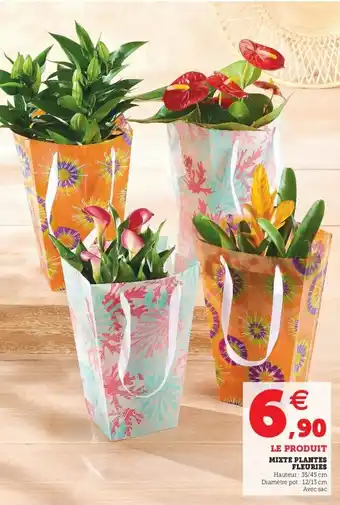 Super U Mixte Plantes Fleuries offre