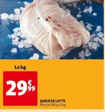 Queue de Lotte