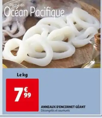 Anneaux d'encornet Geant