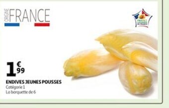 Auchan Endives Jeunes Pousses offre