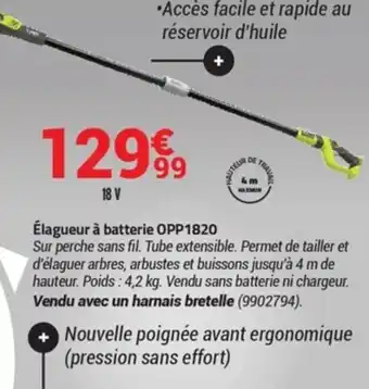 Bricorama Élagueur à batterie Opp1820 offre
