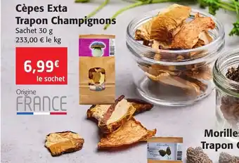 Colruyt Cepes Extra Trapon Champignons offre