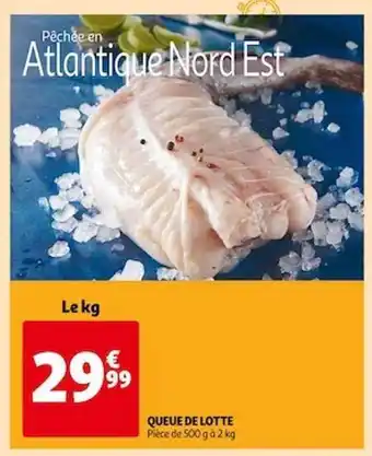 Queue de lotte