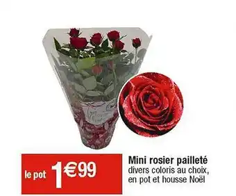 Cora x Carrefour Mini rosier pailleté offre