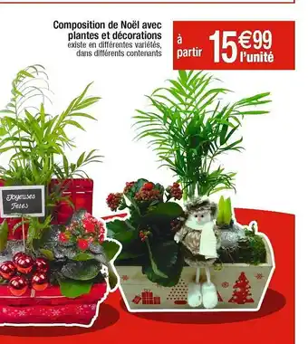 Cora x Carrefour Composition de noël avec plantes et décorations offre