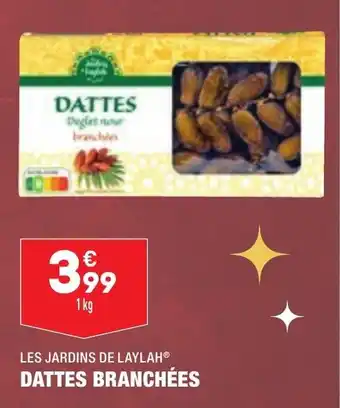 ALDI Dattes branchées offre