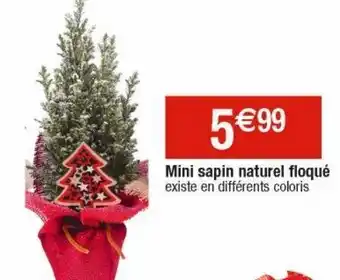 Cora x Carrefour Sapin offre