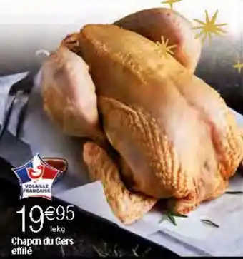 Chapon du gers effilê