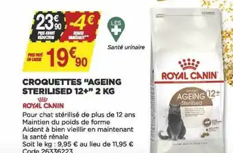 Bricomarché Croquettes offre