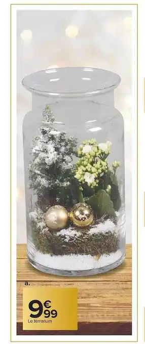 Carrefour Le terrarium offre