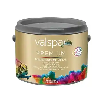 Castorama Valspar peinture* machine à teinter offre