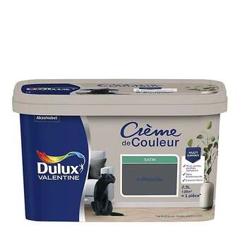 Castorama Dulux valentine peinture* crème de couleur offre