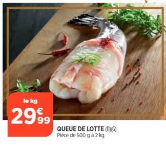 Bi1 Queue de lotte offre