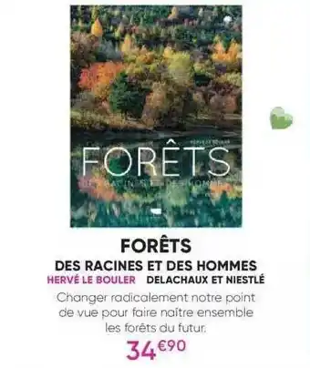 ForĂȘts des racines et des hommes hervĂ© le bouler - delachaux et niestlĂ©