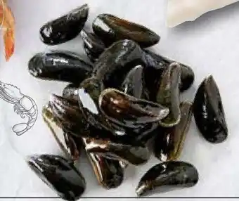 Match Moules de Hollande offre