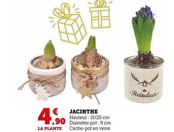 Super U Jacinthe offre