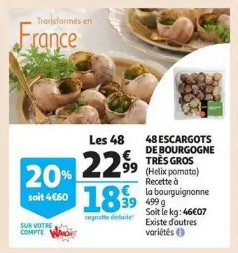 Auchan 48 escargots de bourgogne très gros offre