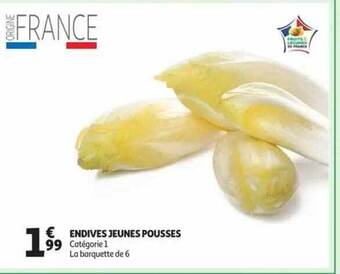 Auchan Endives jeunes pousses offre