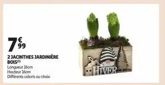 Auchan 2 jacinthes jardinière bois offre