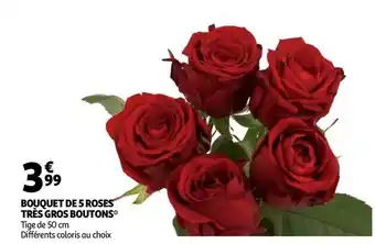 Auchan BOUQUET DE 5 ROSES TRÈS GROS BOUTONS offre