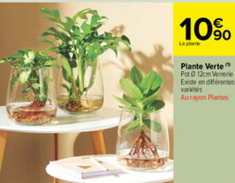 Carrefour Market Plante Verte offre