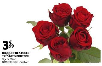 Auchan BOUQUET DE 5 ROSES TRÈS GROS BOUTONS offre
